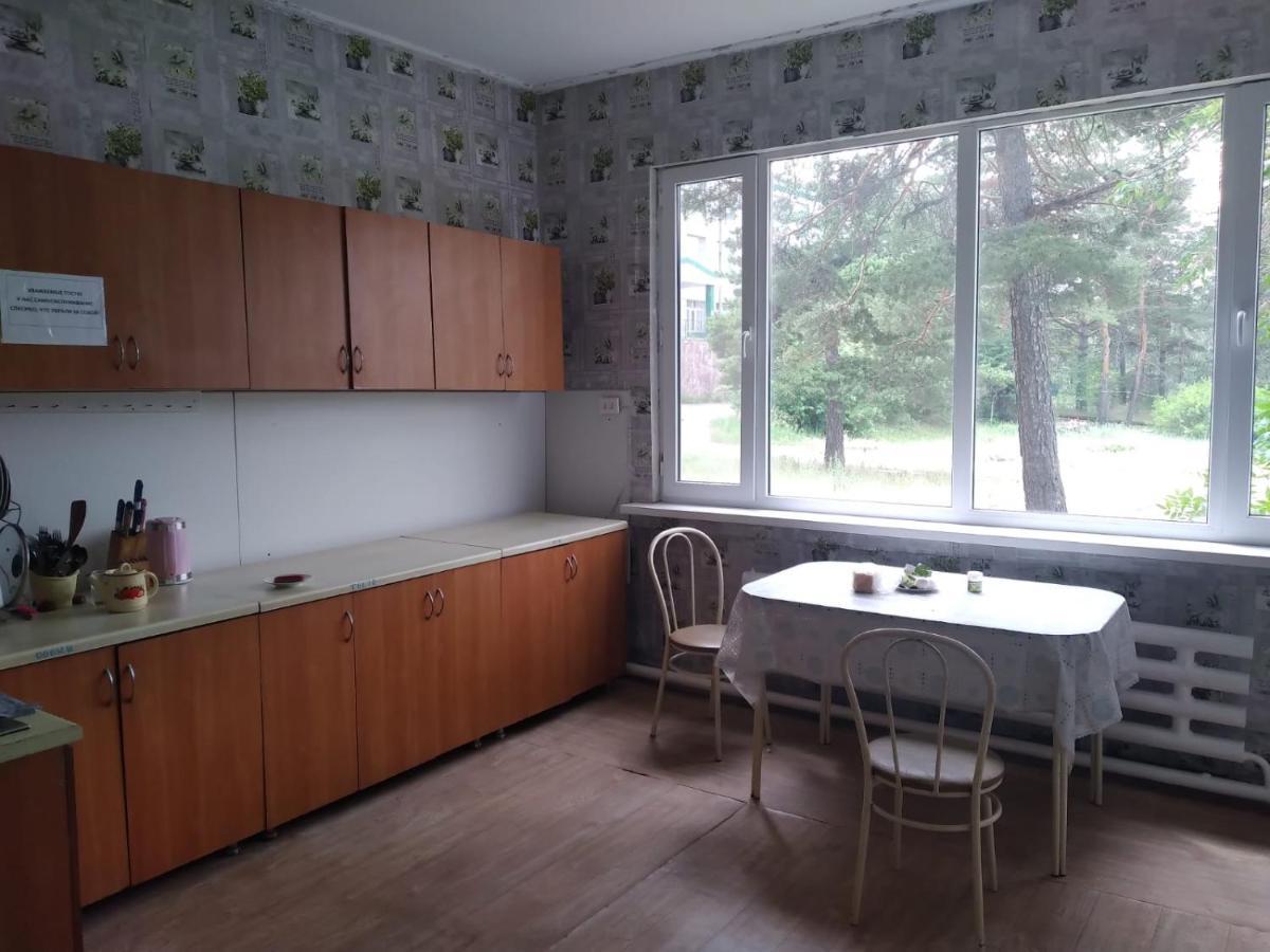 Гостевой Пансионат "Советский Союз" У Ербола Shchūchīnsk Extérieur photo